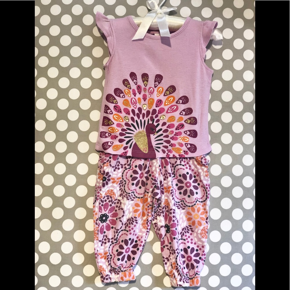 🎈2 for $30🎈Gymboree Toddler Girl’s Outfit